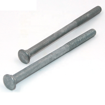 hot dip galvanized long bolt extra long M6 round head  carriage bolt